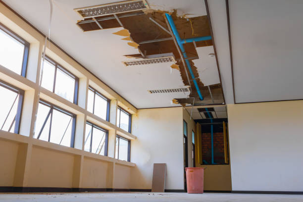 Best Fire Damage Restoration  in Seabrook, SC