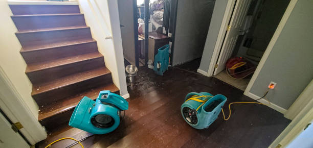 Best Local water damage restoration  in Seabrook, SC