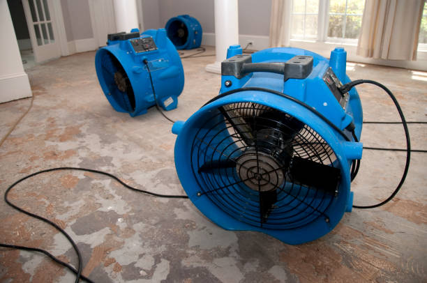 Best Water damage restoration near me  in Seabrook, SC