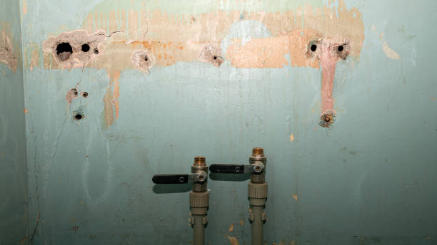 Best Water damage restoration experts  in Seabrook, SC