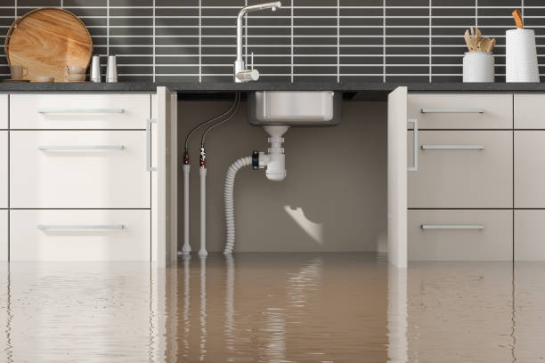 Water damage restoration experts in Seabrook, SC