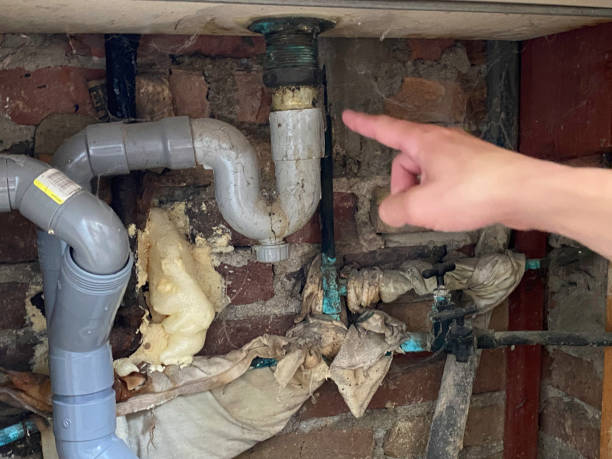 Best Ceiling water damage repair  in Seabrook, SC