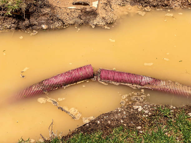 Best Mold removal after water damage  in Seabrook, SC