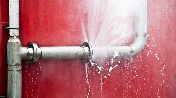 Best Commercial water damage restoration  in Seabrook, SC